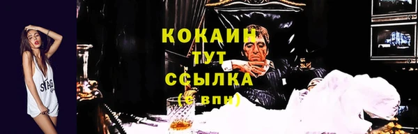 каннабис Инта