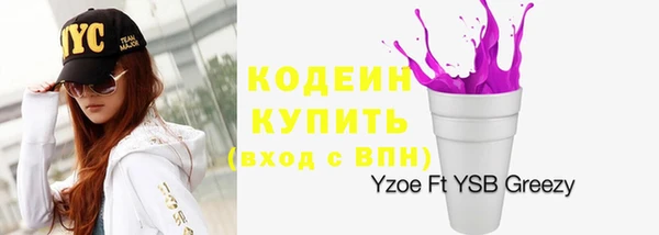 хмурый Каменногорск