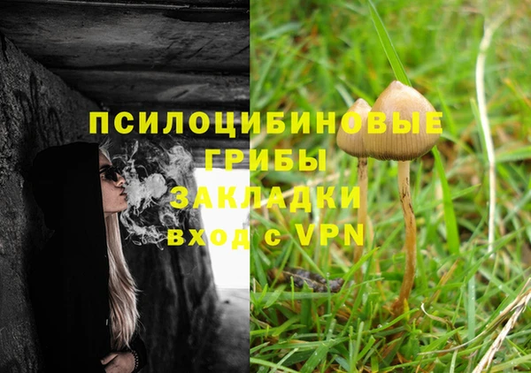 каннабис Инта