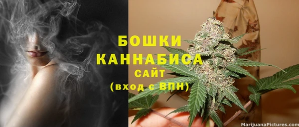 хмурый Каменногорск